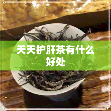 天天护肝茶有什么好处