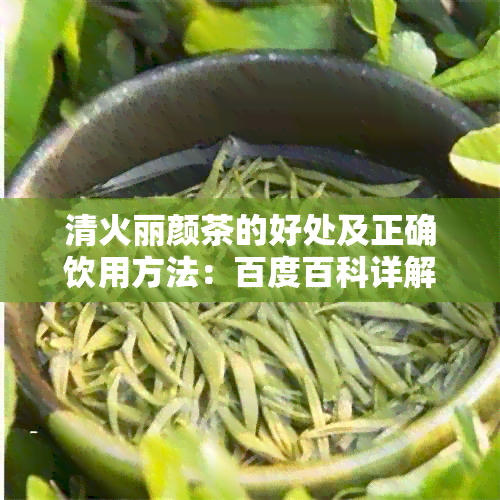 清火丽颜茶的好处及正确饮用方法：百度百科详解