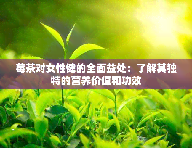 莓茶对女性健的全面益处：了解其独特的营养价值和功效