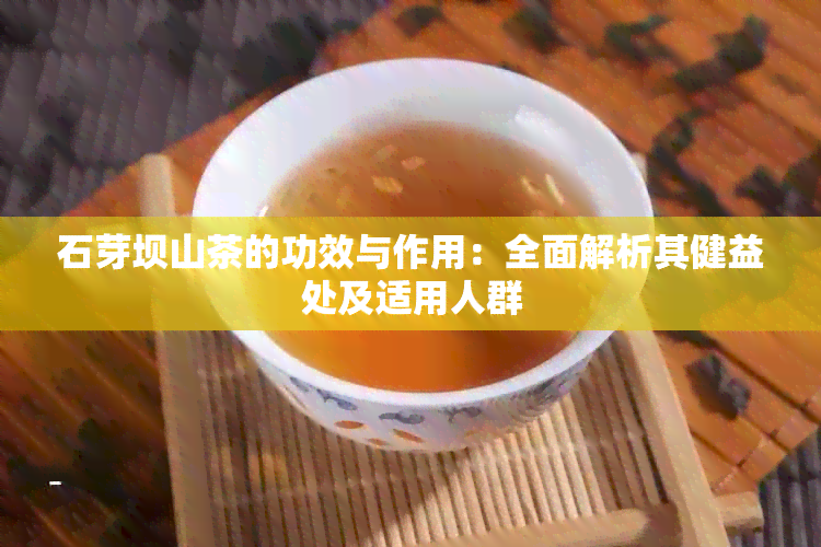 石芽坝山茶的功效与作用：全面解析其健益处及适用人群