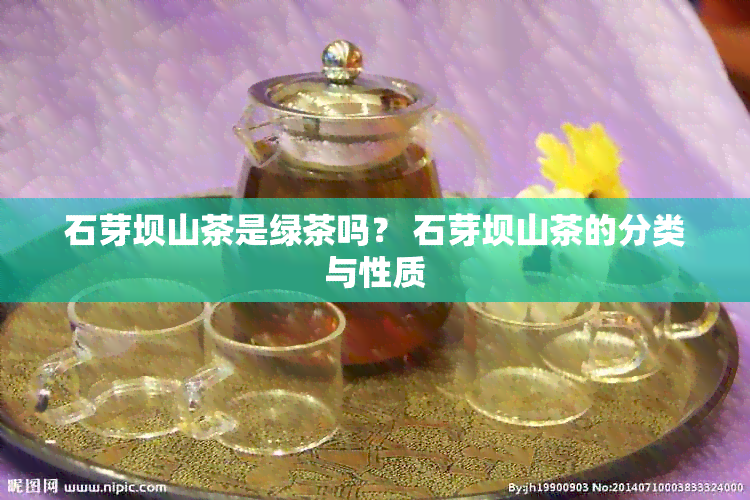 石芽坝山茶是绿茶吗？ 石芽坝山茶的分类与性质