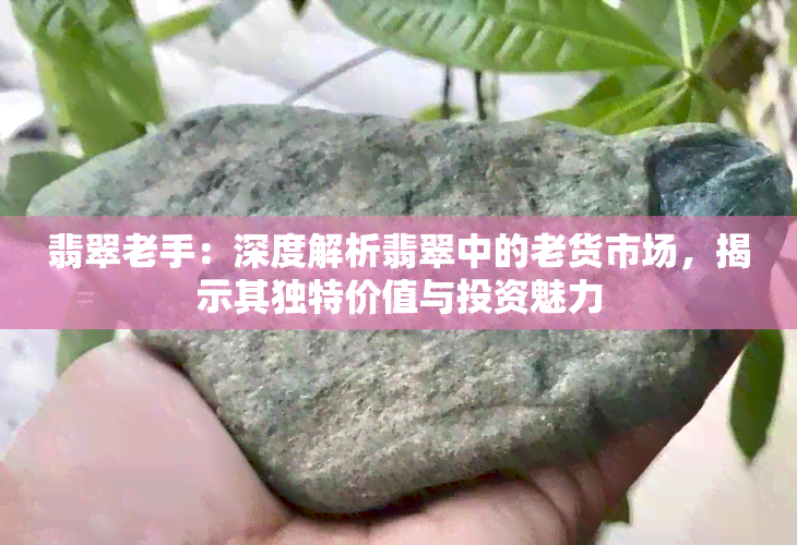 翡翠老手：深度解析翡翠中的老货市场，揭示其独特价值与投资魅力