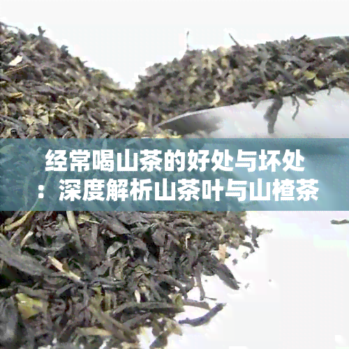 经常喝山茶的好处与坏处：深度解析山茶叶与山楂茶的健价值