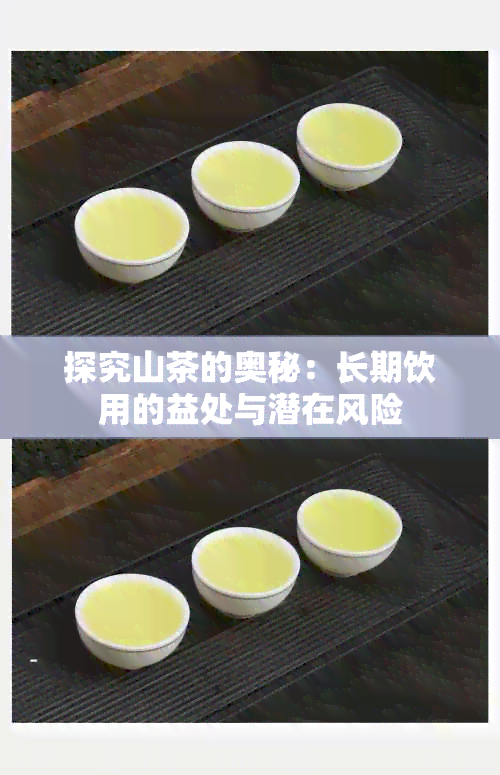 探究山茶的奥秘：长期饮用的益处与潜在风险