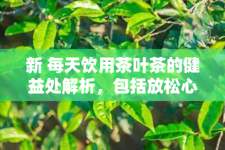 新 每天饮用茶叶茶的健益处解析，包括放松心情，提高免疫力等