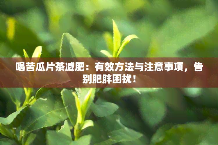 喝苦瓜片茶减肥：有效方法与注意事项，告别肥胖困扰！