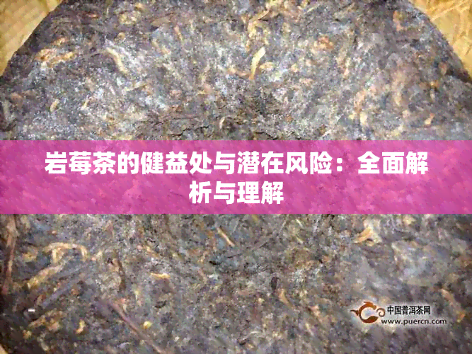 岩莓茶的健益处与潜在风险：全面解析与理解