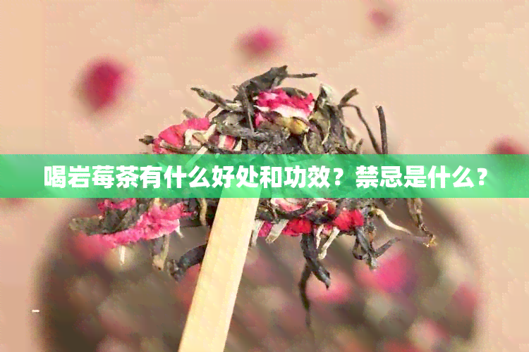 喝岩莓茶有什么好处和功效？禁忌是什么？