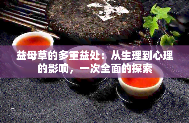 益母草的多重益处：从生理到心理的影响，一次全面的探索