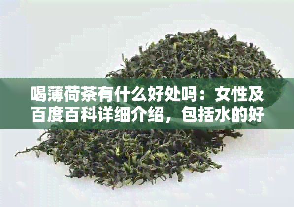 喝薄荷茶有什么好处吗：女性及百度百科详细介绍，包括水的好处与坏处。