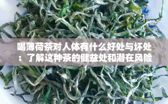 喝薄荷茶对人体有什么好处与坏处：了解这种茶的健益处和潜在风险