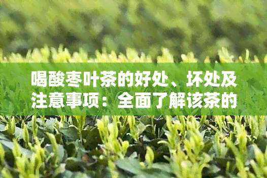 喝酸枣叶茶的好处、坏处及注意事项：全面了解该茶的潜在影响