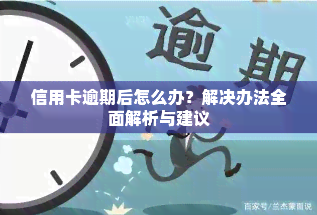 信用卡逾期后怎么办？解决办法全面解析与建议