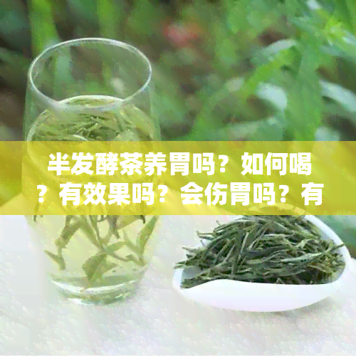 半发酵茶养胃吗？如何喝？有效果吗？会伤胃吗？有什么好处？