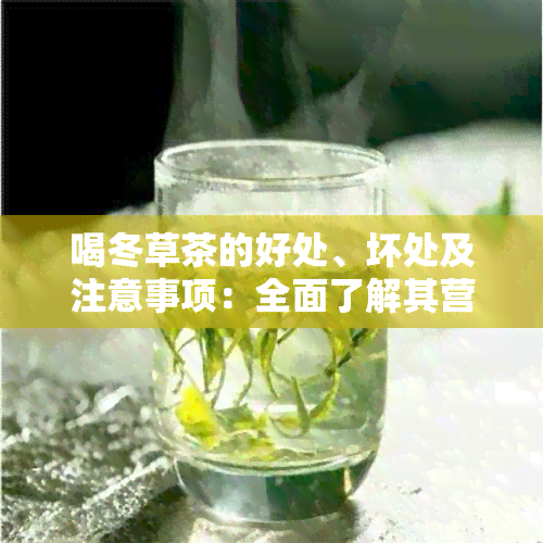 喝冬草茶的好处、坏处及注意事项：全面了解其营养价值和可能的影响