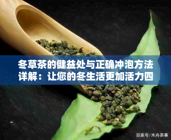 冬草茶的健益处与正确冲泡方法详解：让您的冬生活更加活力四溢