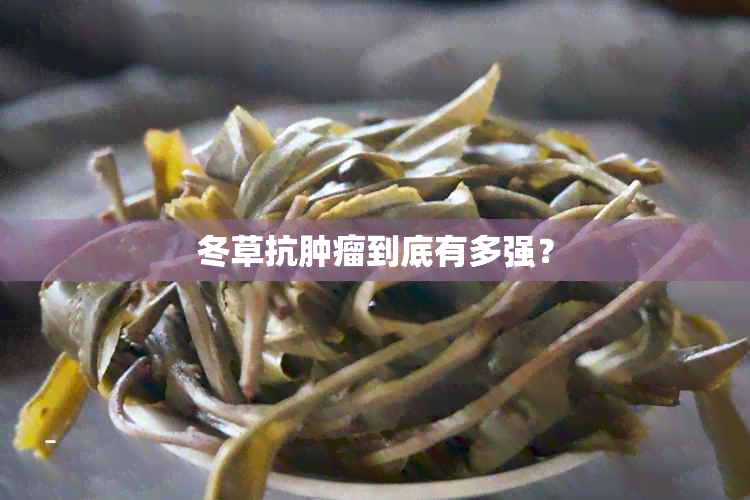 冬草抗肿瘤到底有多强？