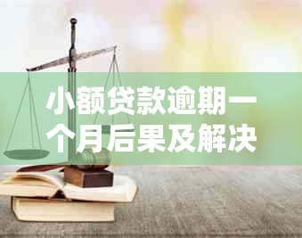 小额贷款逾期一个月后果及解决方案：了解还款影响和应对策略