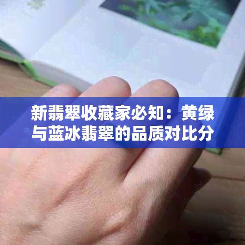 新翡翠收藏家必知：黄绿与蓝冰翡翠的品质对比分析