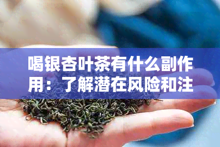 喝银杏叶茶有什么副作用：了解潜在风险和注意事项