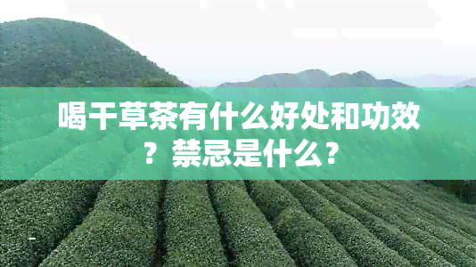 喝干草茶有什么好处和功效？禁忌是什么？