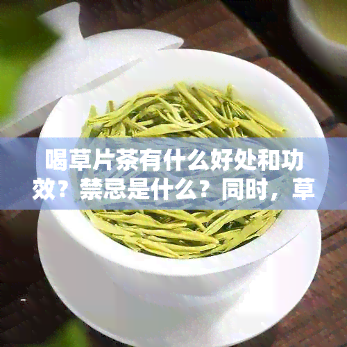 喝草片茶有什么好处和功效？禁忌是什么？同时，草片的利弊如何？