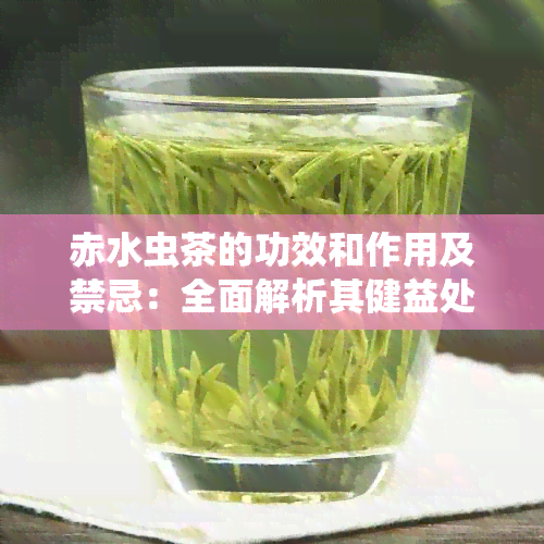 赤水虫茶的功效和作用及禁忌：全面解析其健益处与使用注意事项