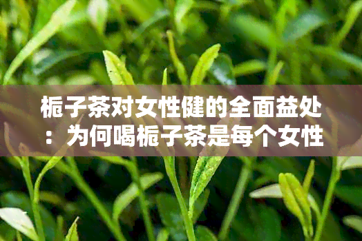 栀子茶对女性健的全面益处：为何喝栀子茶是每个女性的理想选择？