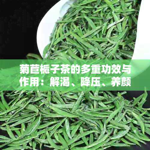 菊苣栀子茶的多重功效与作用：解渴、降压、养颜还是减肥良方？