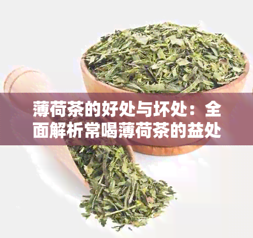 薄荷茶的好处与坏处：全面解析常喝薄荷茶的益处与潜在风险