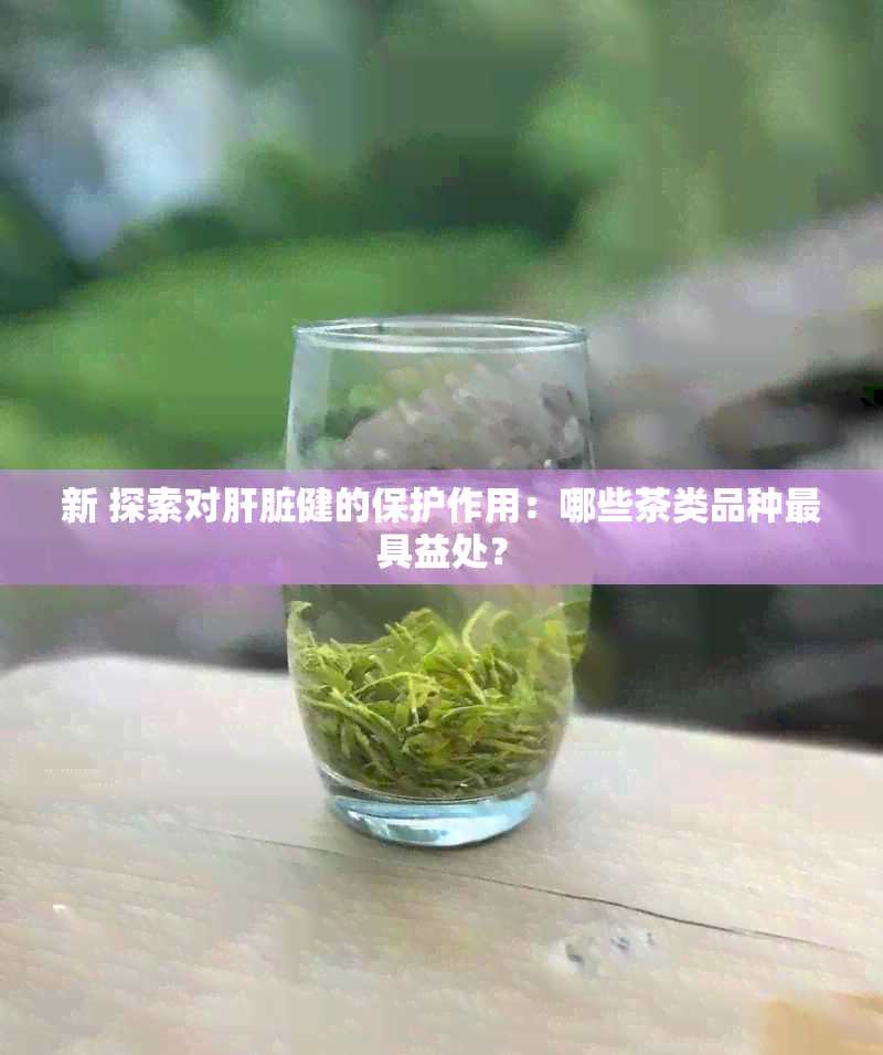 新 探索对肝脏健的保护作用：哪些茶类品种更具益处？