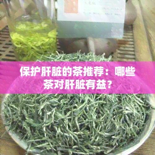 保护肝脏的茶推荐：哪些茶对肝脏有益？