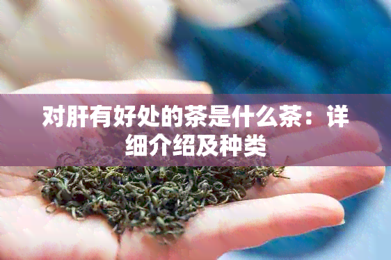 对肝有好处的茶是什么茶：详细介绍及种类