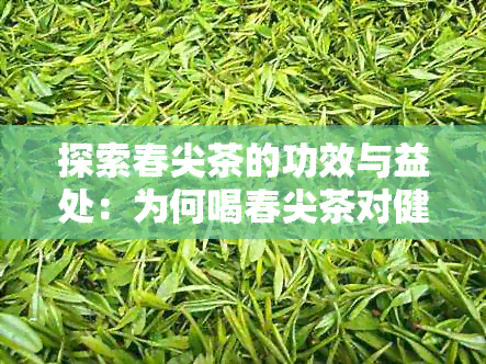 探索春尖茶的功效与益处：为何喝春尖茶对健有益？