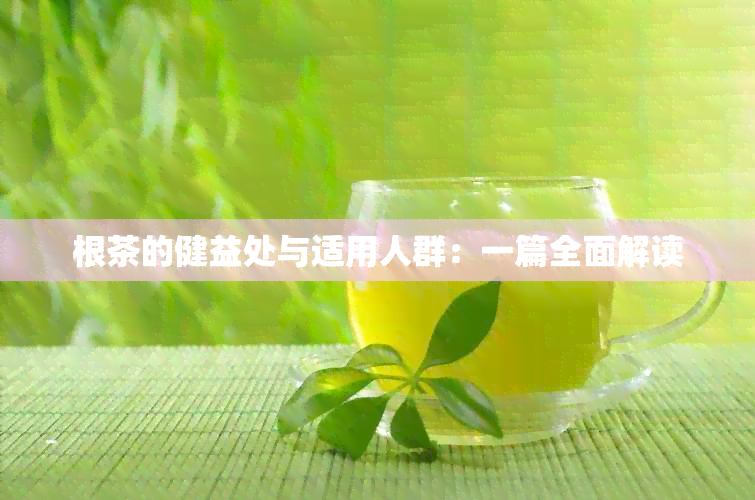 根茶的健益处与适用人群：一篇全面解读