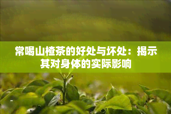 常喝山楂茶的好处与坏处：揭示其对身体的实际影响