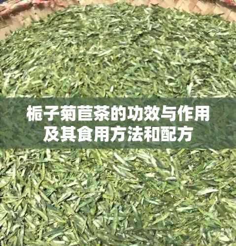 栀子菊苣茶的功效与作用及其食用方法和配方