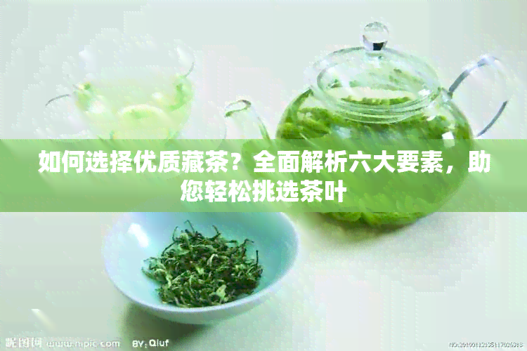 如何选择优质藏茶？全面解析六大要素，助您轻松挑选茶叶