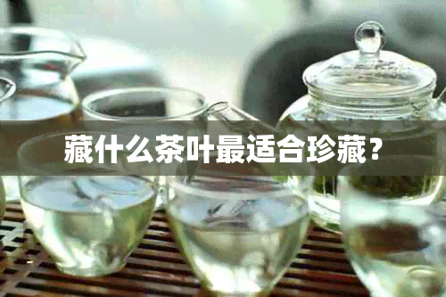 藏什么茶叶最适合珍藏？