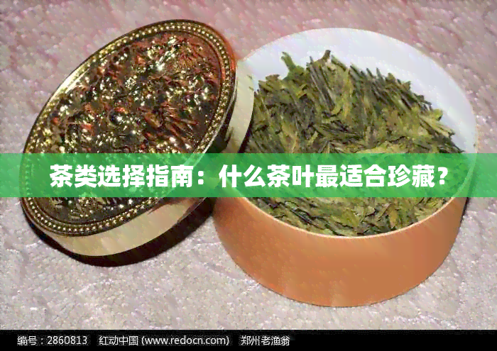 茶类选择指南：什么茶叶最适合珍藏？