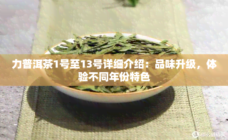 力普洱茶1号至13号详细介绍：品味升级，体验不同年份特色