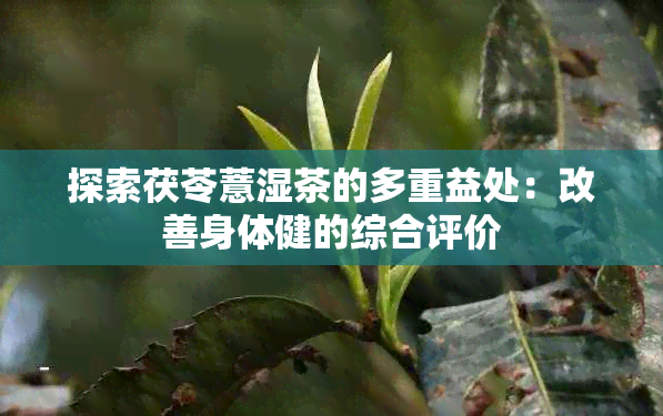 探索茯苓薏湿茶的多重益处：改善身体健的综合评价