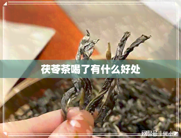 茯苓茶喝了有什么好处