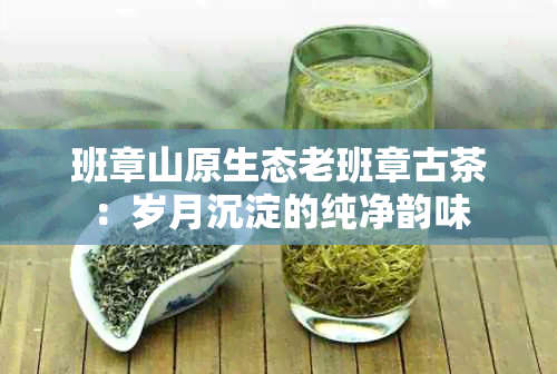 班章山原生态老班章古茶：岁月沉淀的纯净韵味