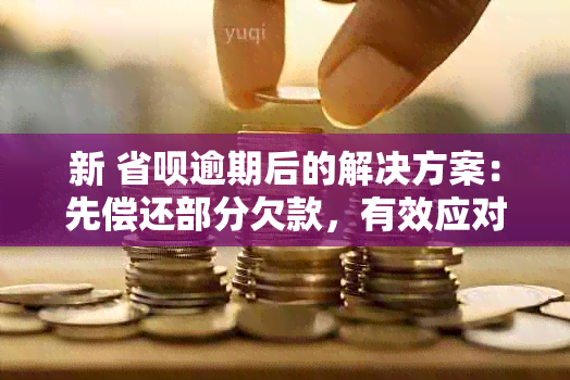 新 省呗逾期后的解决方案：先偿还部分欠款，有效应对账单困扰