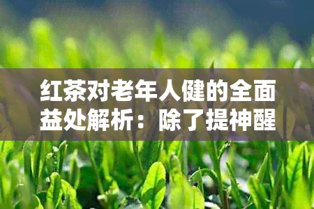 红茶对老年人健的全面益处解析：除了提神醒脑还有哪些好处？