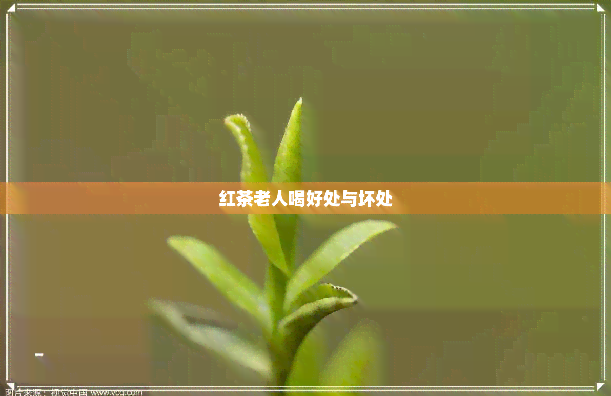 红茶老人喝好处与坏处