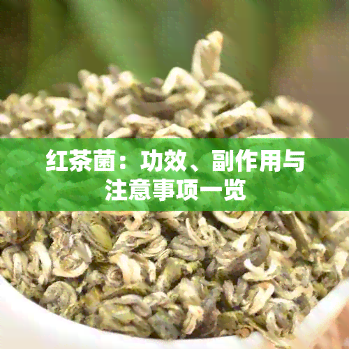 红茶菌：功效、副作用与注意事项一览