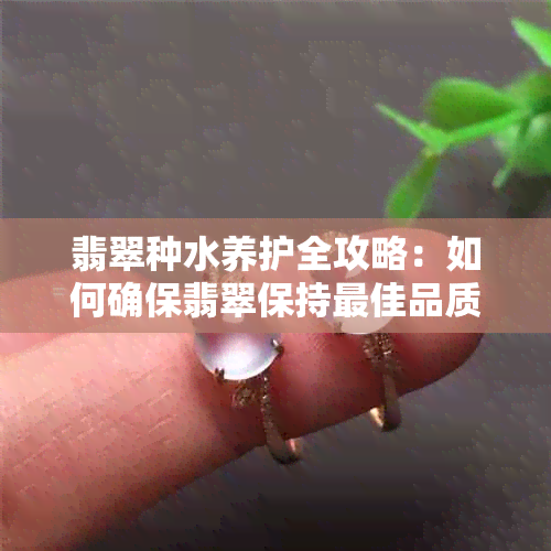 翡翠种水养护全攻略：如何确保翡翠保持更佳品质和光泽？