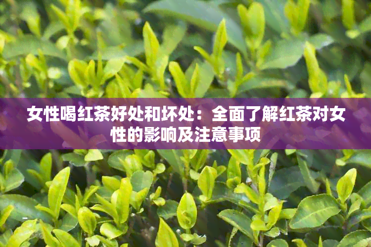 女性喝红茶好处和坏处：全面了解红茶对女性的影响及注意事项